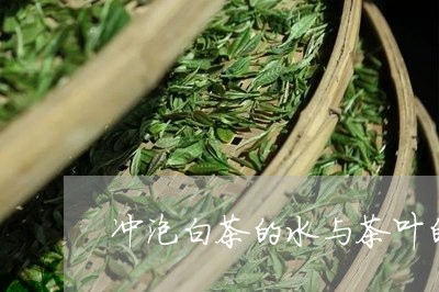 冲泡白茶的水与茶叶的比例/2023040270415