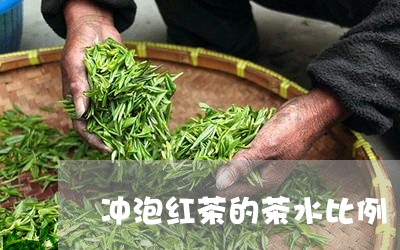 冲泡红茶的茶水比例/2023041635271