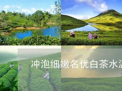 冲泡细嫩名优白茶水温要求/2023040232813