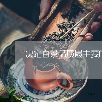 决定白茶品质最主要的工艺/2023040291593