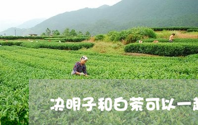 决明子和白茶可以一起泡吗/2023040217251