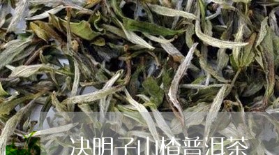 决明子山楂普洱茶/2023041398714