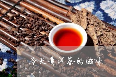 冷天普洱茶的滋味/2023040901595