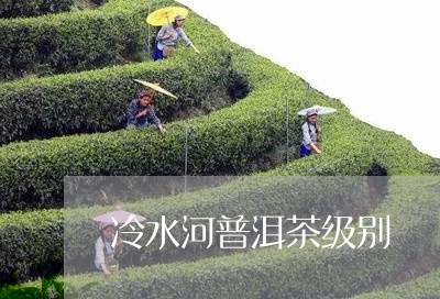 冷水河普洱茶级别/2023041270715