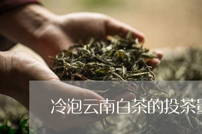 冷泡云南白茶的投茶量比例/2023040220615