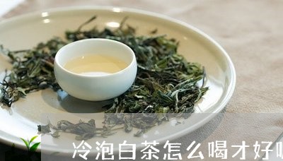 冷泡白茶怎么喝才好呢视频/2023040269079