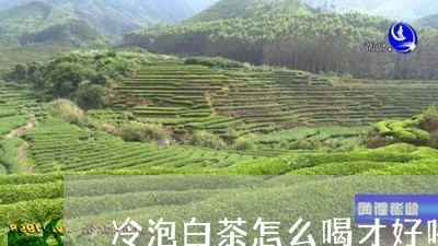 冷泡白茶怎么喝才好喝一点/2023040220705