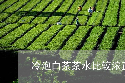 冷泡白茶茶水比较浓正常吗/2023040228272