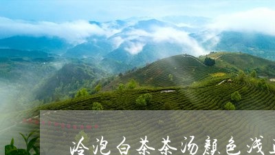 冷泡白茶茶汤颜色浅正常吗/2023040212715