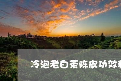 冷泡老白茶陈皮功效和禁忌/2023040211624