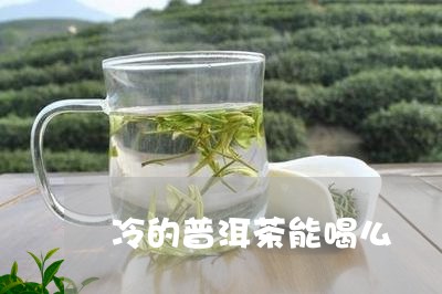 冷的普洱茶能喝么/2023033048793