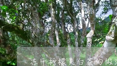 冻干柠檬美白茶的做法大全/2023040225948