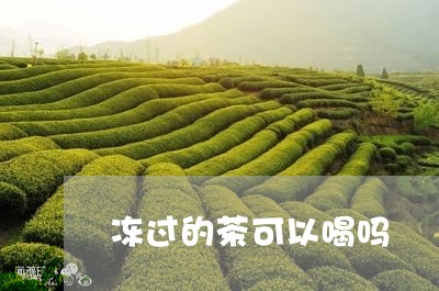 冻过的茶可以喝吗/2023032231603