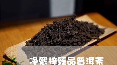 净熙梓臻品普洱茶/2023033107483