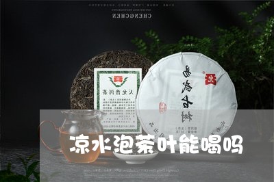 凉水泡茶叶能喝吗/2023032614624