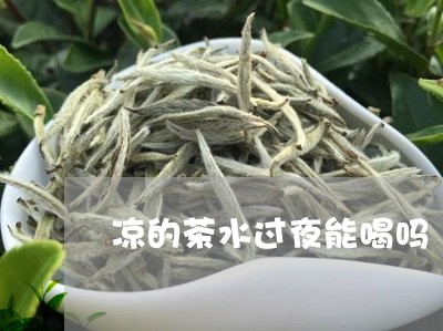 凉的茶水过夜能喝吗/2023031829370