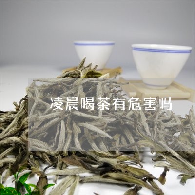 凌晨喝茶有危害吗/2023032508251