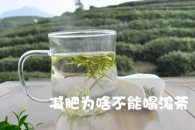 减肥为啥不能喝浓茶/2023041445037