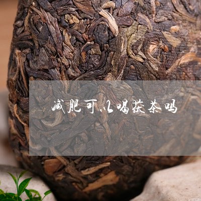 减肥可以喝茯茶吗/2023032248592