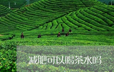 减肥可以喝茶水吗/2023032502614