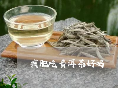 减肥吃普洱茶好吗/2023040984158