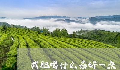 减肥喝什么茶好一点/2023041561515