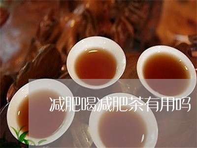 减肥喝减肥茶有用吗/2023031968461