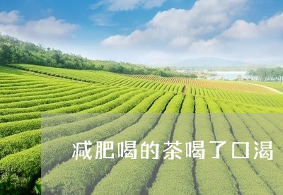 减肥喝的茶喝了口渴/2023041417948