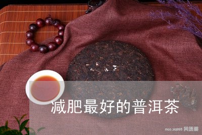 减肥最好的普洱茶/2023041093604