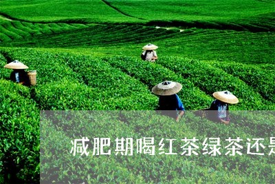 减肥期喝红茶绿茶还是白茶/2023040241606