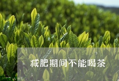 减肥期间不能喝茶/2023032489304