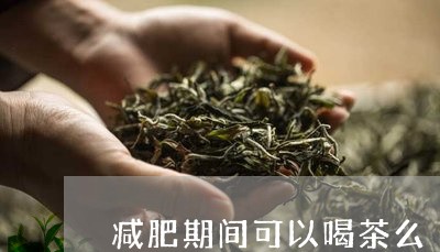 减肥期间可以喝茶么/2023032036049