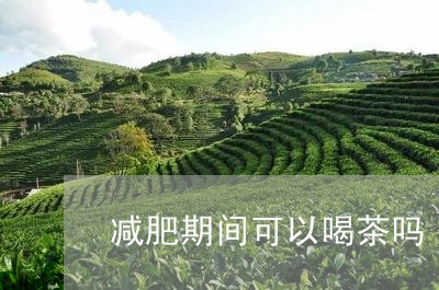 减肥期间可以喝茶吗/2023041609591