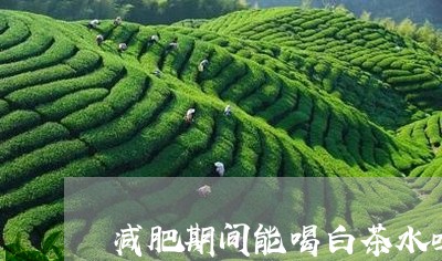 减肥期间能喝白茶水吗早上/2023040285260