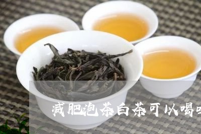 减肥泡茶白茶可以喝吗/2023040269483