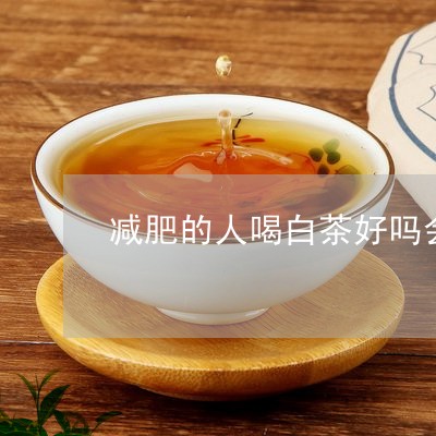 减肥的人喝白茶好吗会胖吗/2023040200492