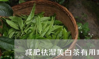 减肥祛湿美白茶有用吗女性/2023040283936