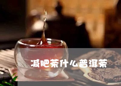 减肥茶什么普洱茶/2023041138251