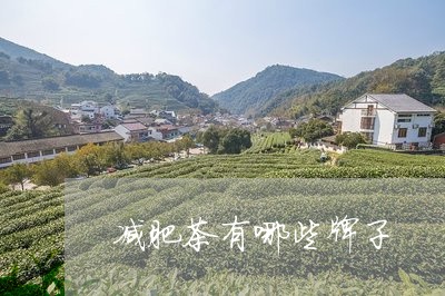 减肥茶有哪些牌子/2023032216383