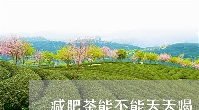 减肥茶能不能天天喝/2023041527138