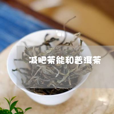 减肥茶能和普洱茶/2023041429607