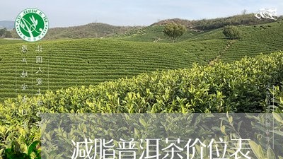 减脂普洱茶价位表/2023041209636