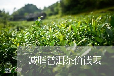 减脂普洱茶价钱表/2023031894949