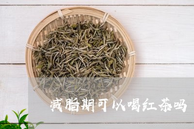 减脂期可以喝红茶吗/2023041530694