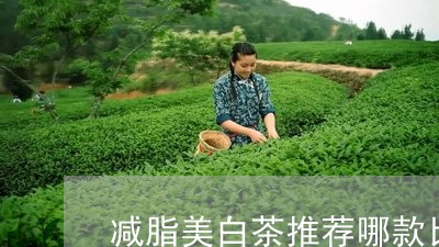 减脂美白茶推荐哪款比较好/2023040282149