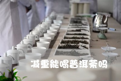 减重能喝普洱茶吗/2023041362725