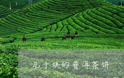 几十块的普洱茶饼/2023033018261