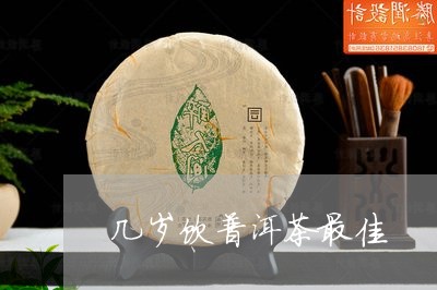 几岁饮普洱茶最佳/2023031815370