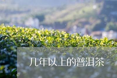 几年以上的普洱茶/2023041058369