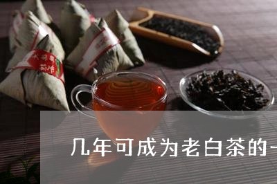 几年可成为老白茶的一种茶/2023040297516